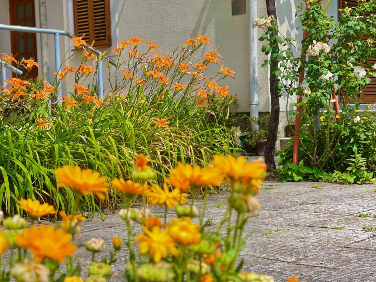 Garden House Будва Екстериор снимка